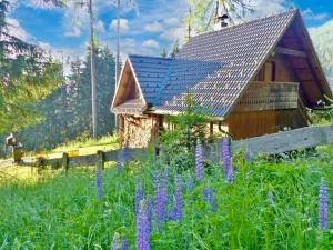 Almh�tte Kreischberg in St. Georgen H�tte Kreischberg